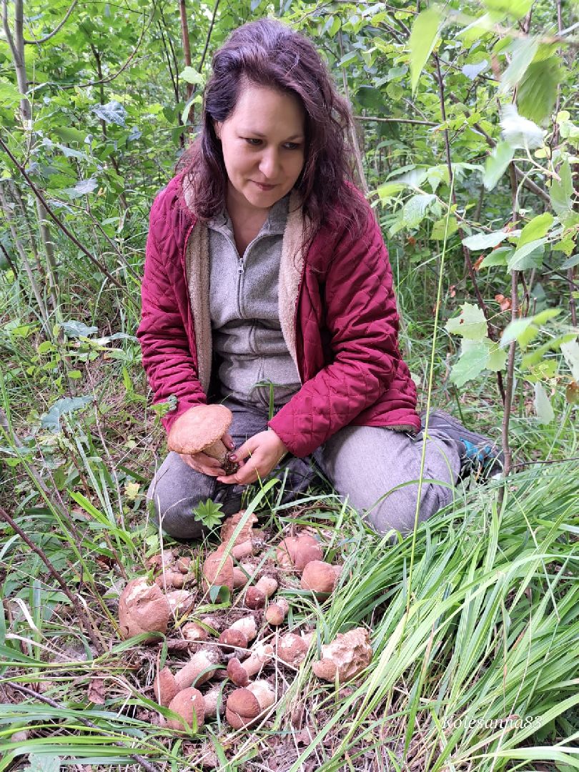 Одинцово, Тихая охота, Грибы, Экология