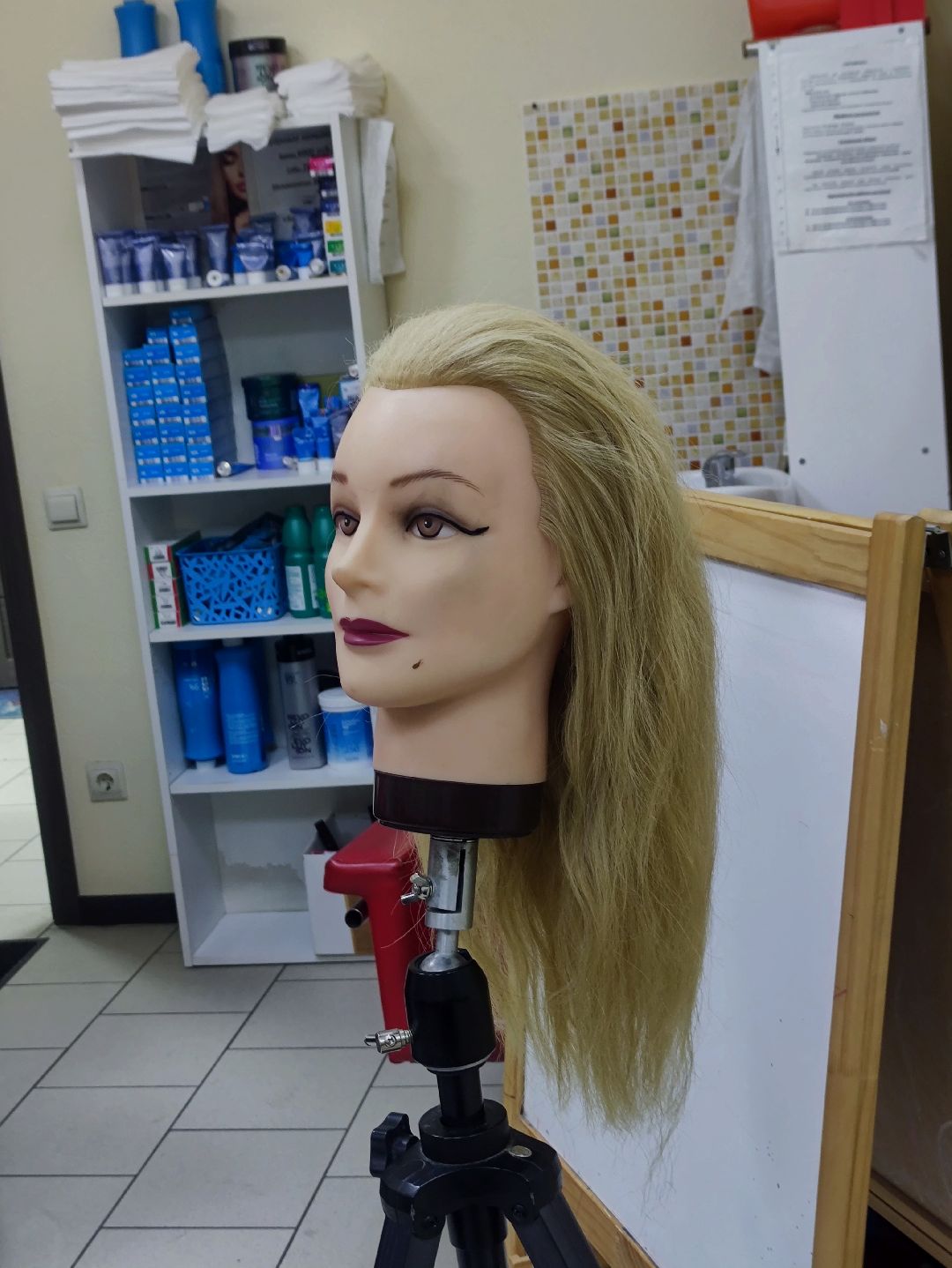 Солнечногорск, общество