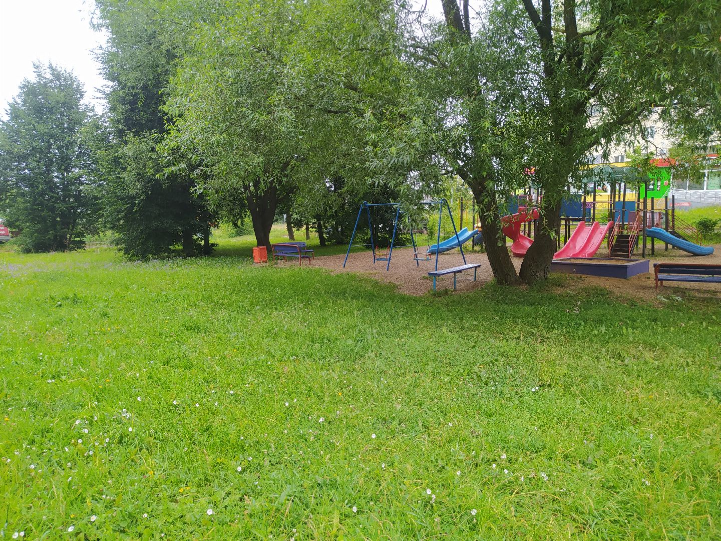 Дедовск, трава