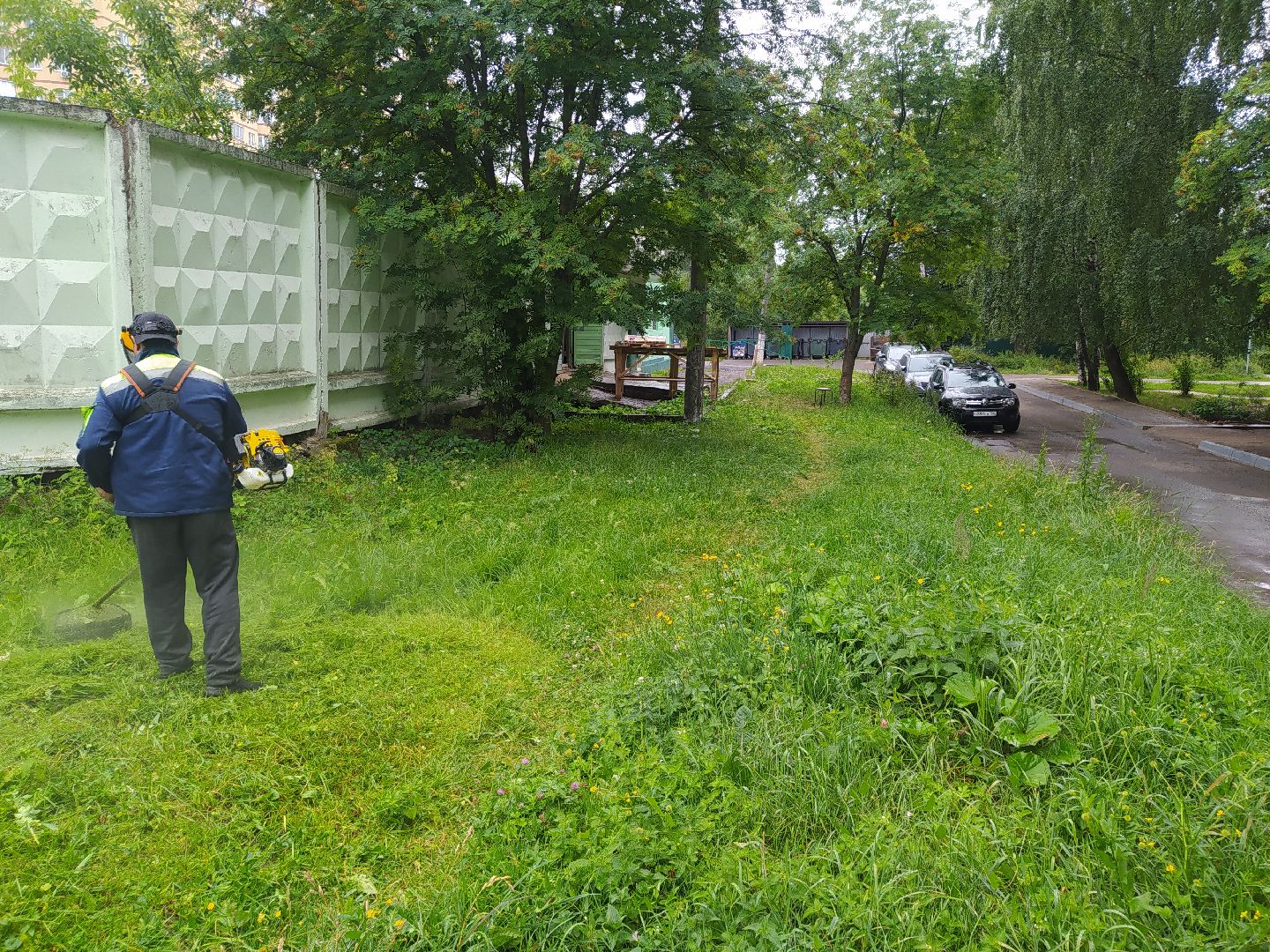 Дедовск, трава