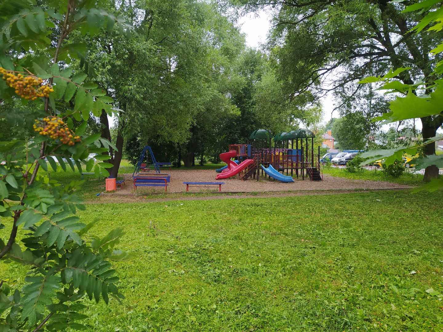 Дедовск, трава