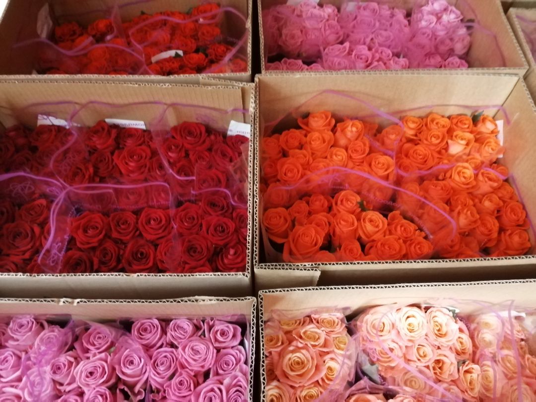 цветы, Протвино, 8 Марта