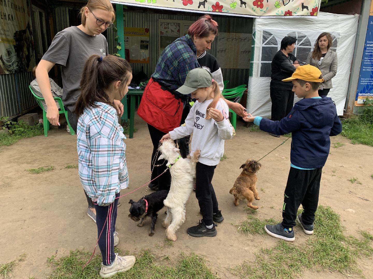 Балашиха, Подмосковье, школа юного кинолога, РГУНХ имени В.И. Вернадского