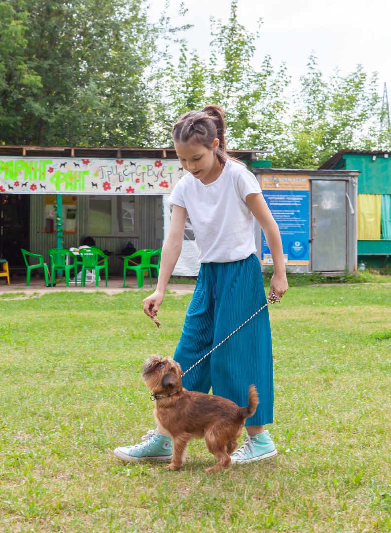 Балашиха, Подмосковье, школа юного кинолога, РГУНХ имени В.И. Вернадского