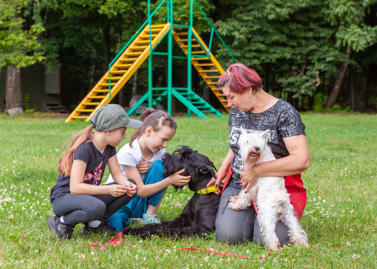 Балашиха, Подмосковье, школа юного кинолога, РГУНХ имени В.И. Вернадского