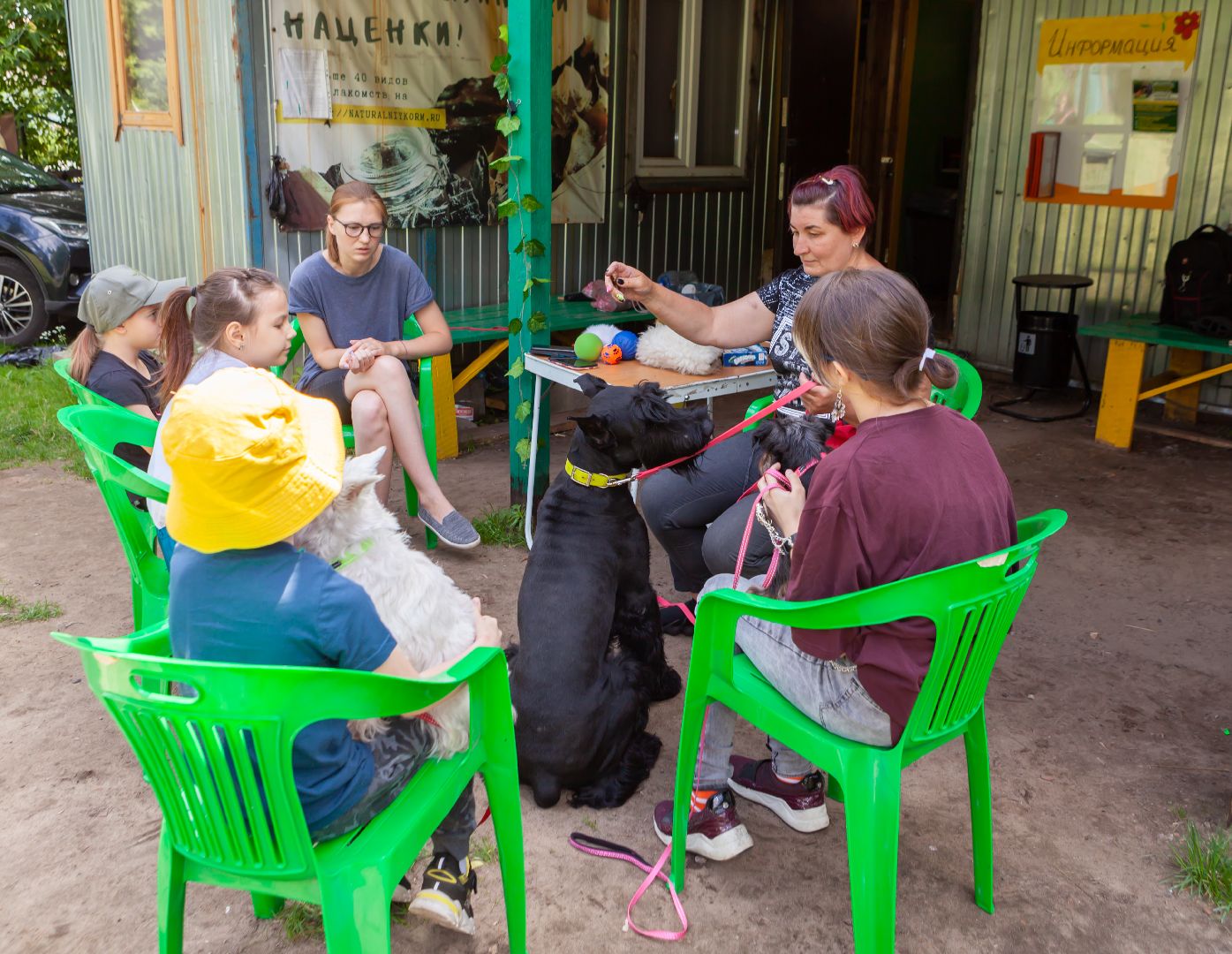 Балашиха, Подмосковье, школа юного кинолога, РГУНХ имени В.И. Вернадского