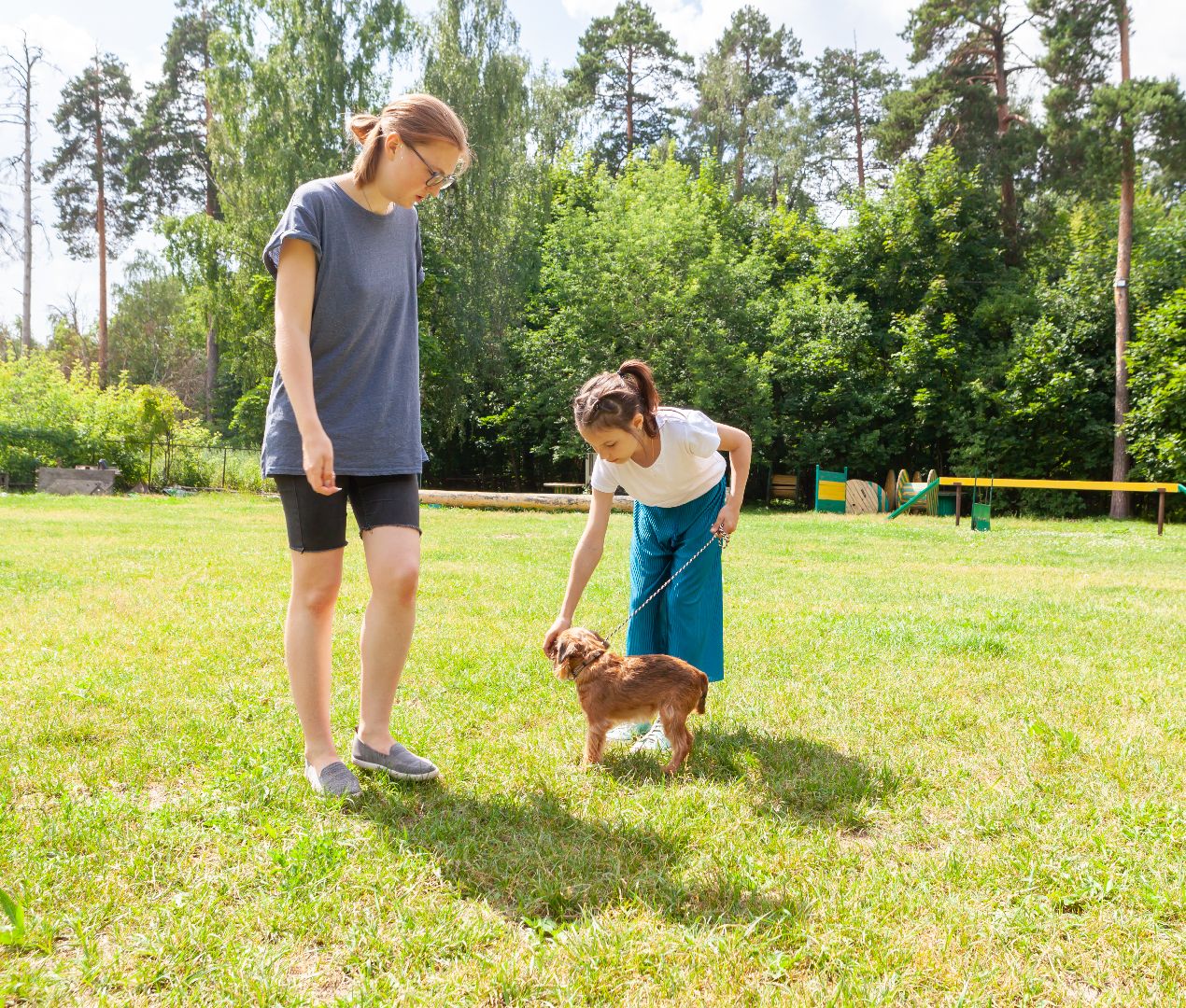 Балашиха, Подмосковье, школа юного кинолога, РГУНХ имени В.И. Вернадского