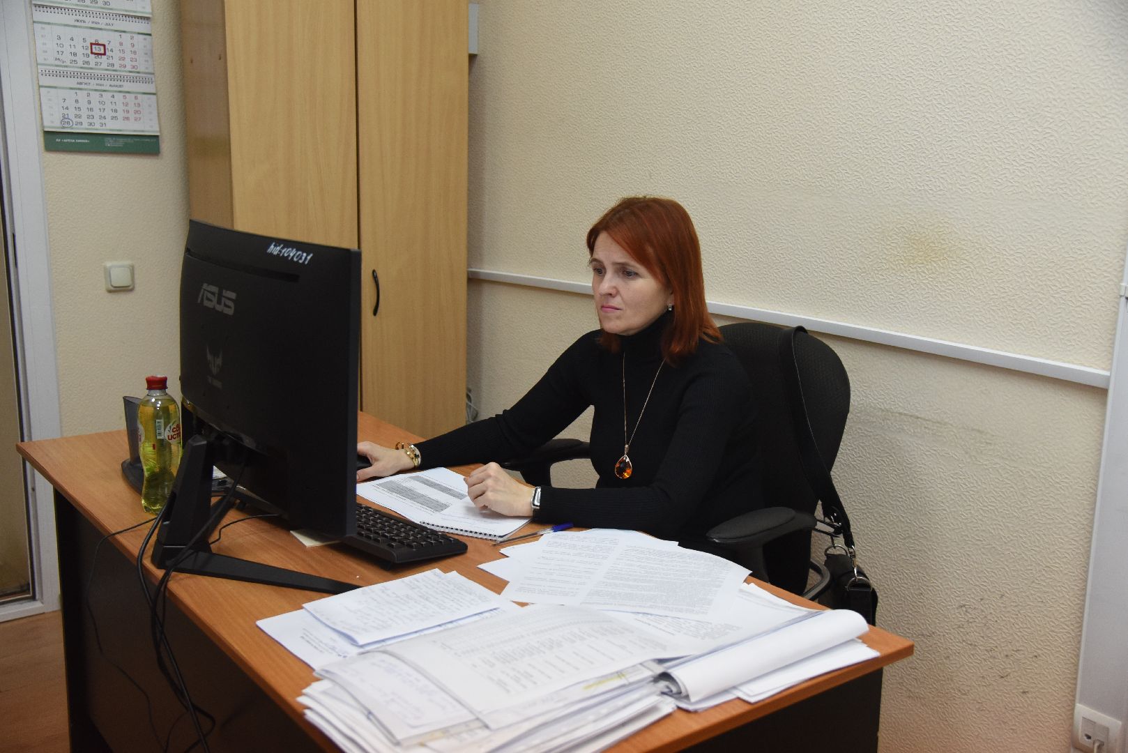 Химки, выборы, голосование, ДЭГ