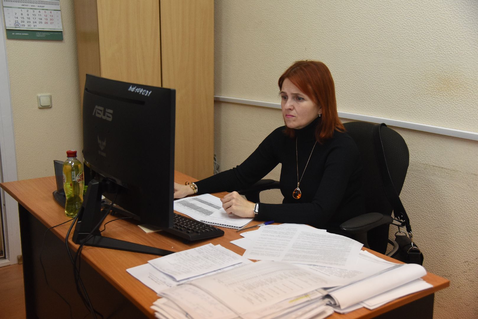 Химки, выборы, голосование, ДЭГ