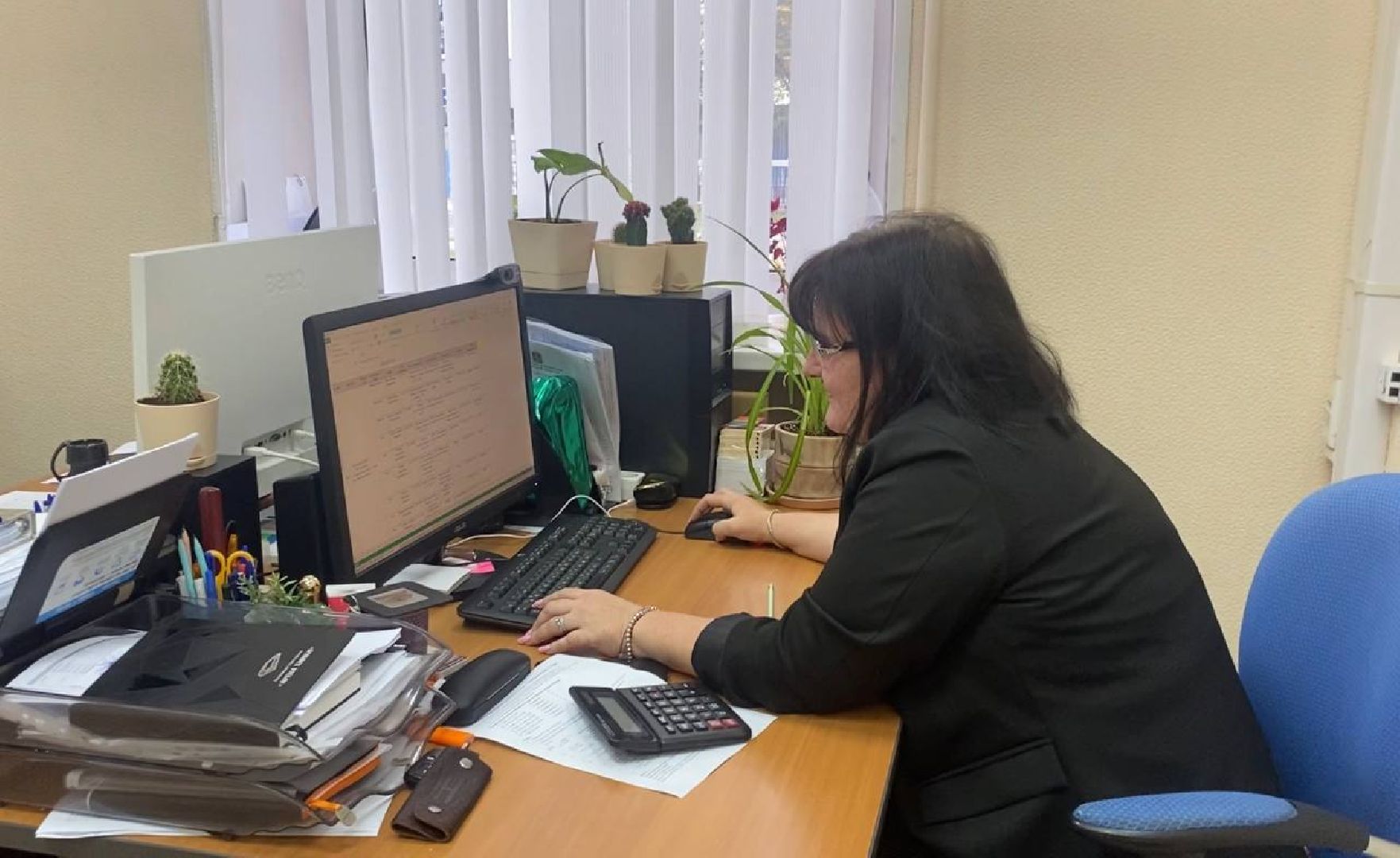 Химки, выборы, голосование, ДЭГ