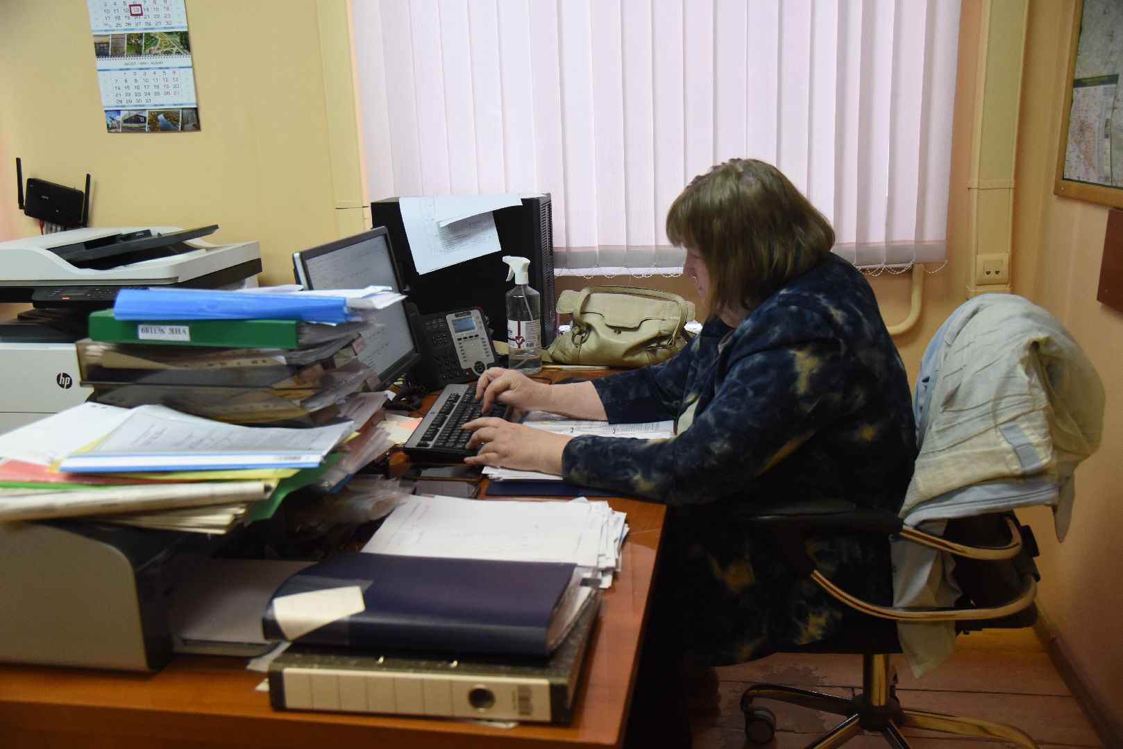 Химки, выборы, голосование, ДЭГ