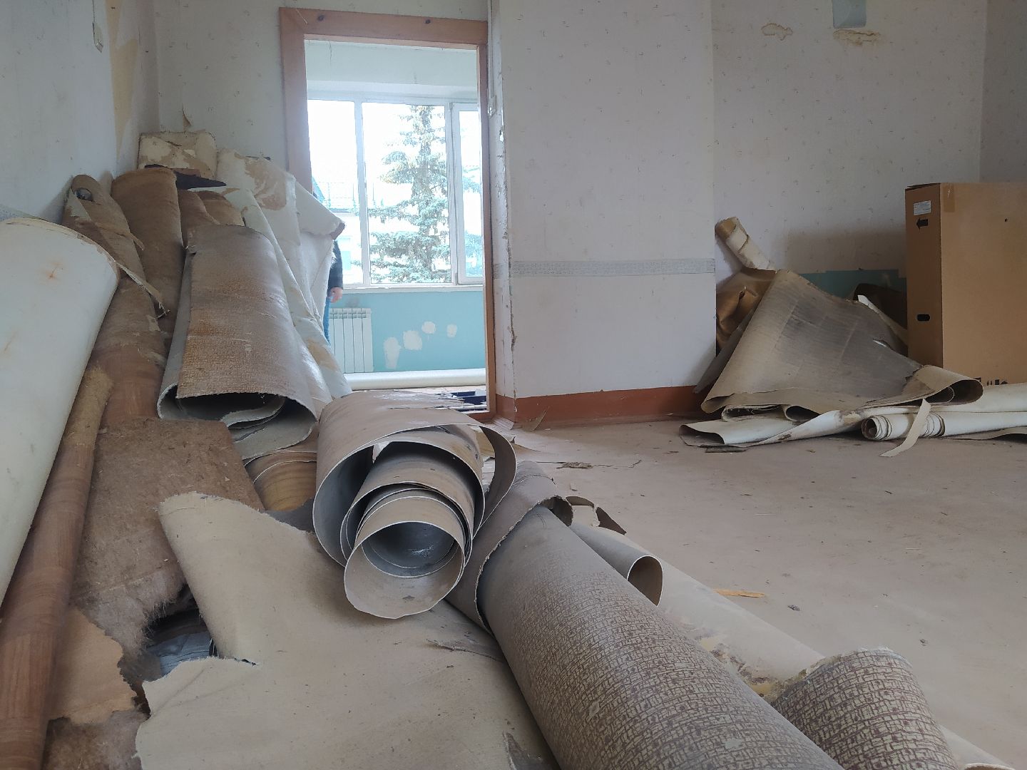 Дедовск, школа, ремонт