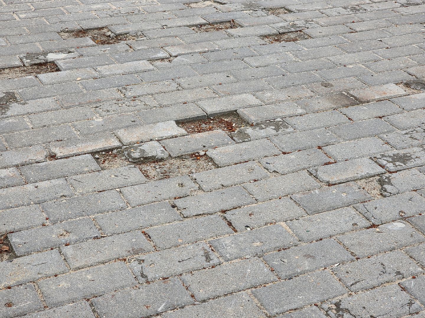 Павловский Посад, городской округ Павловский Посад, благоустройство, плитка, ремонт, люди, история, строительство