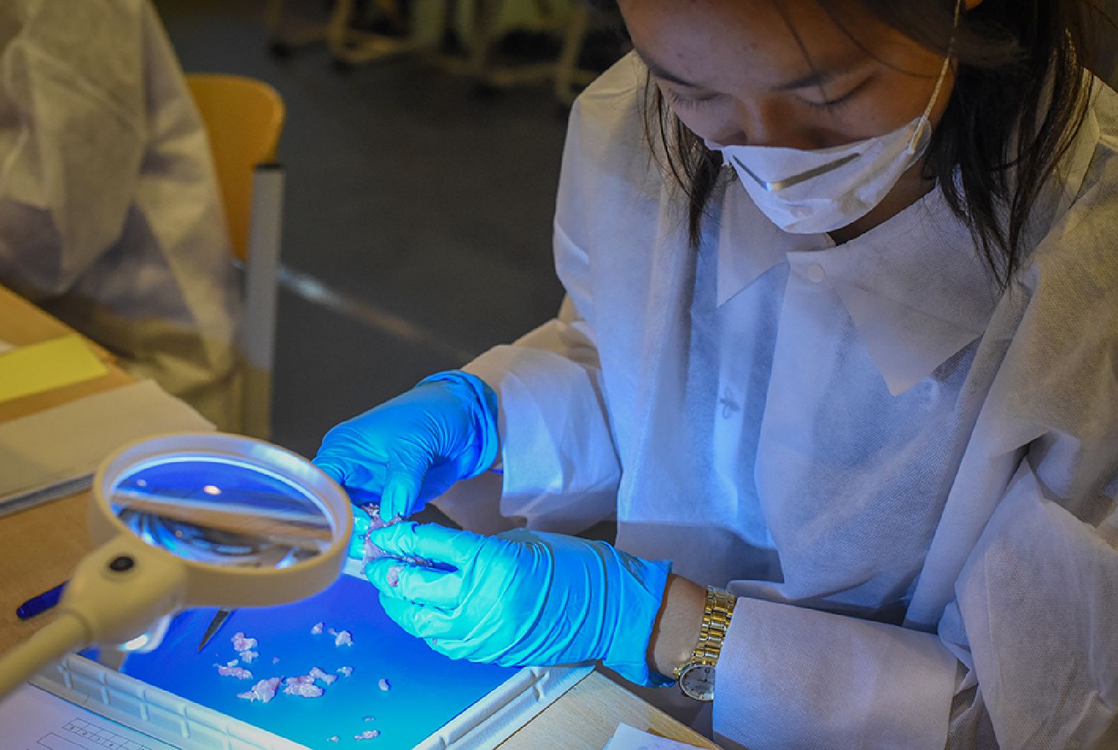 Долгопрудный, ОАЭ, IBO, биология, олимпиада