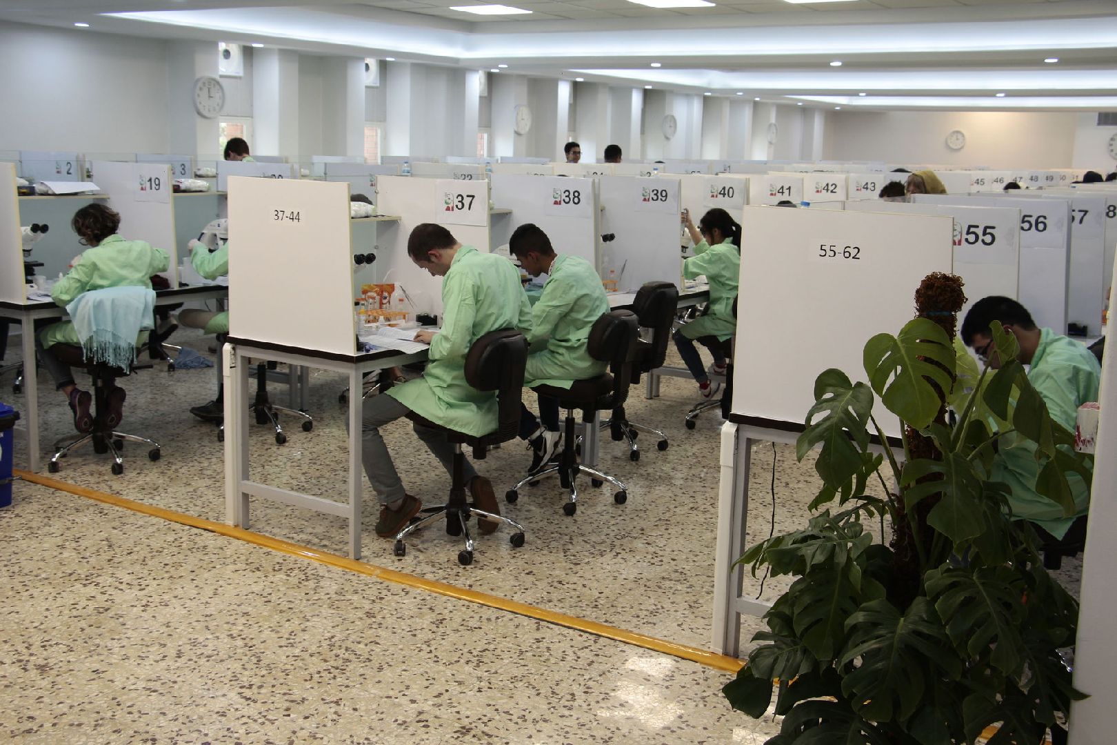 Долгопрудный, ОАЭ, IBO, биология, олимпиада