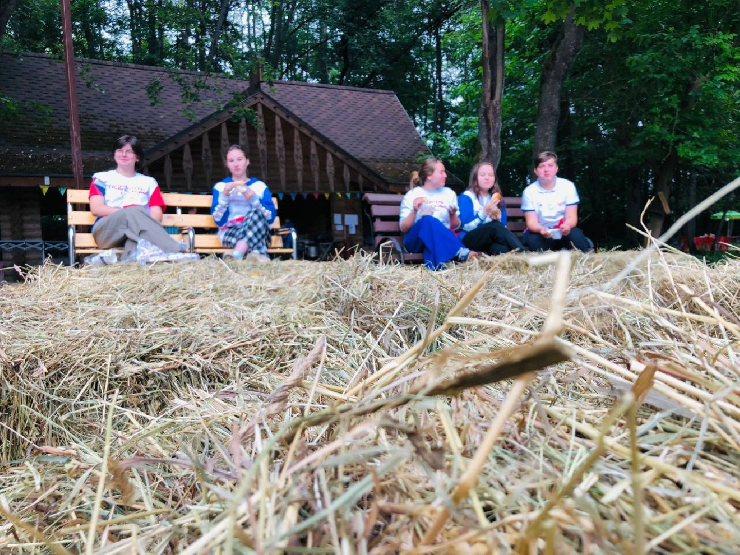 Руза, семейный фестиваль, йога, фермерские продукты, полезное питание, звукотерапия, медитация