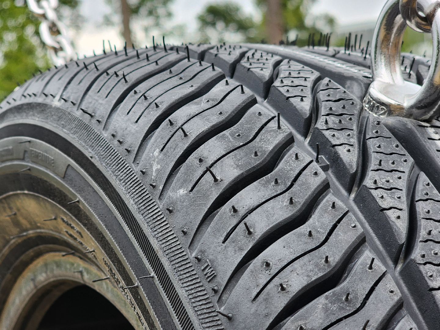 Павловский Посад, городской округ Павловский Посад, собаки, животные, люди, благоустройство, Дубрава, парк