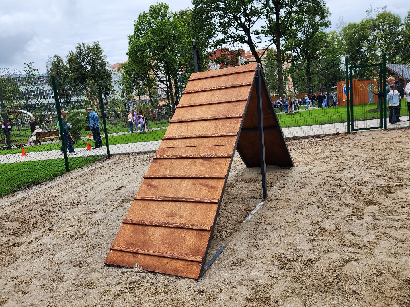 Павловский Посад, городской округ Павловский Посад, собаки, животные, люди, благоустройство, Дубрава, парк