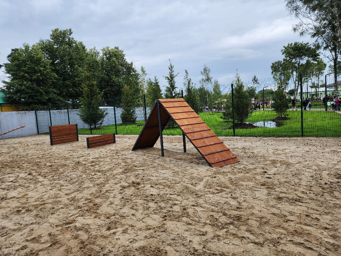 Павловский Посад, городской округ Павловский Посад, собаки, животные, люди, благоустройство, Дубрава, парк