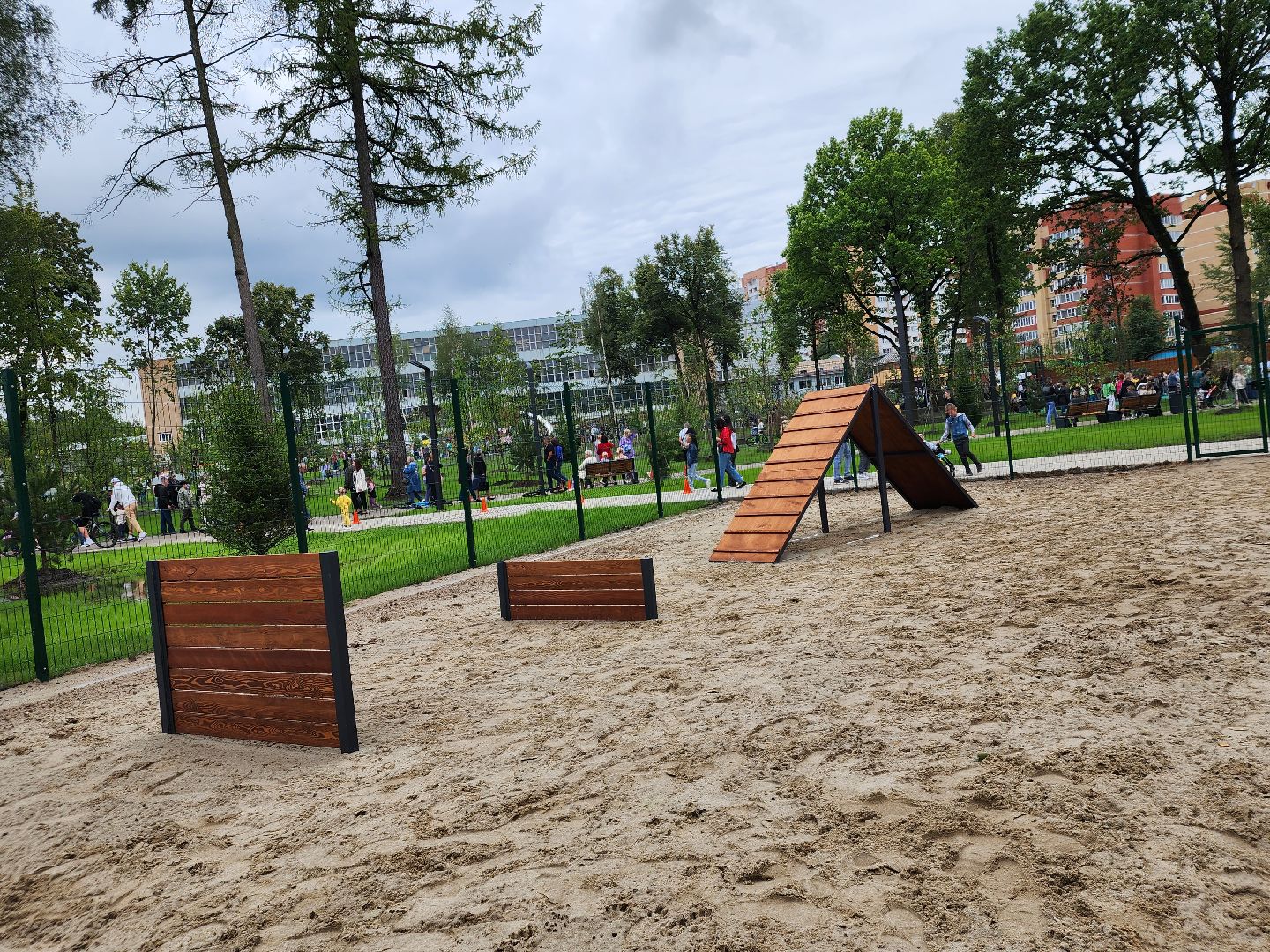 Павловский Посад, городской округ Павловский Посад, собаки, животные, люди, благоустройство, Дубрава, парк