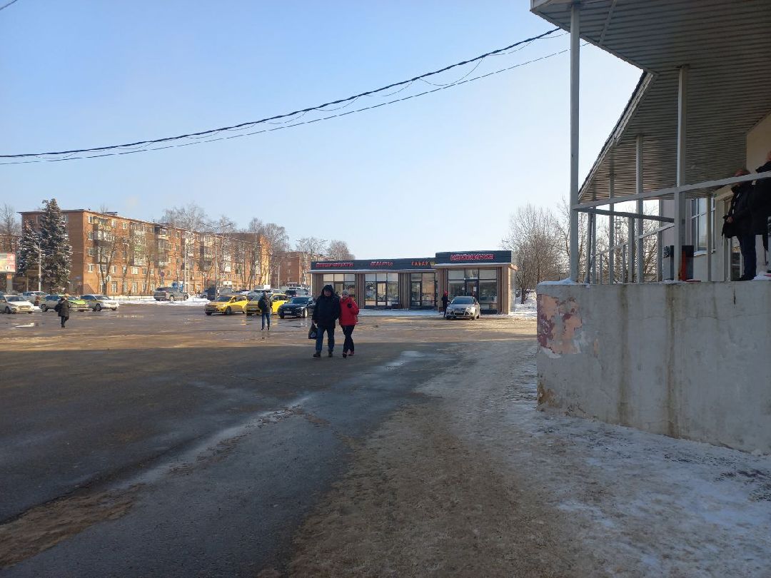 Солнечногорск, общество