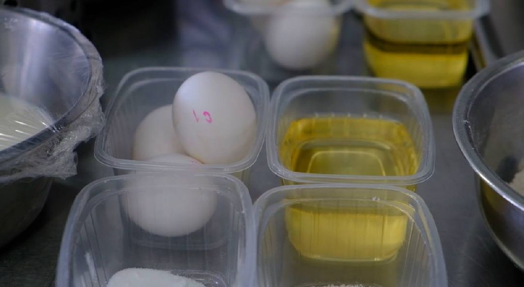 Солнечногорск, СВО