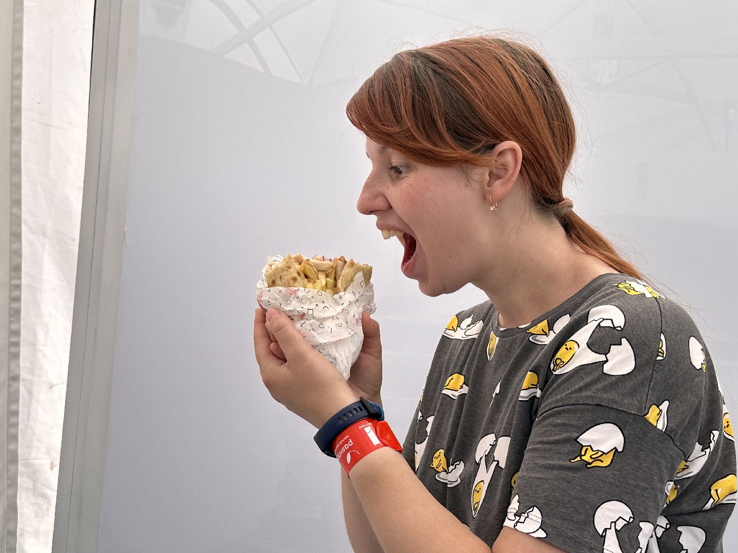 Одинцово, парки Подмосковья, Ночь в парке, Фотобудка