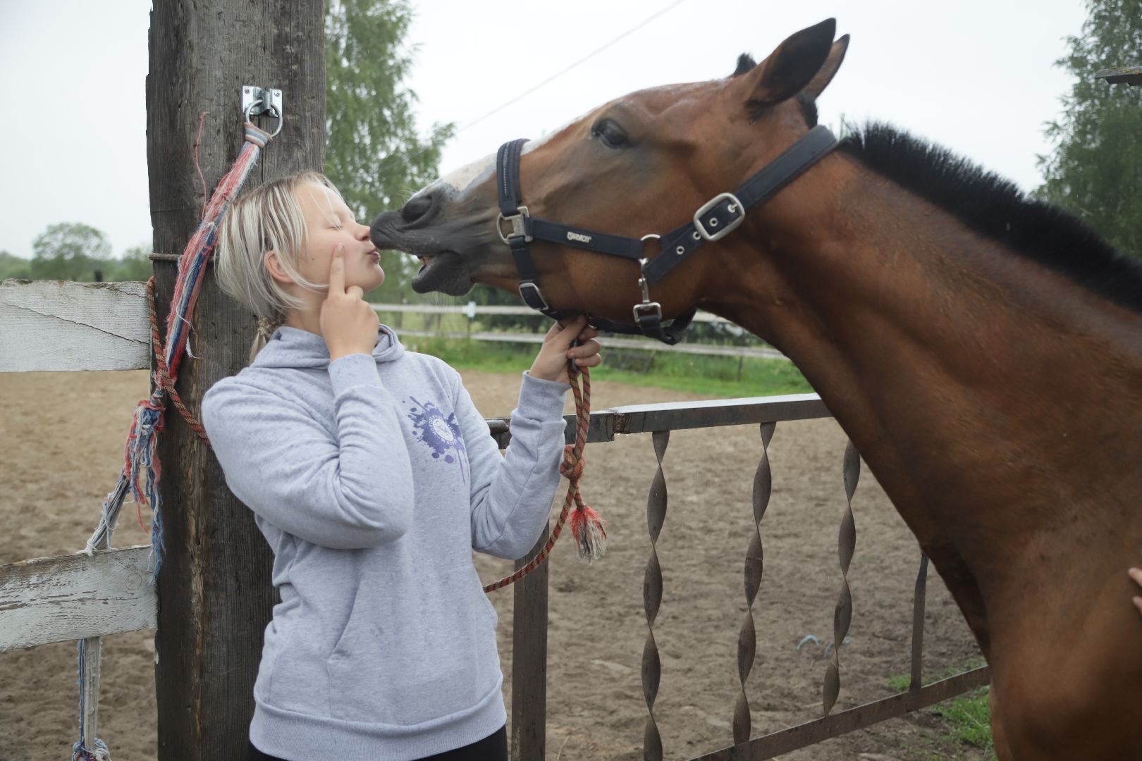 #БольшаяШатура#КМЦ#Варюковка#Орленок#конюшня#дети