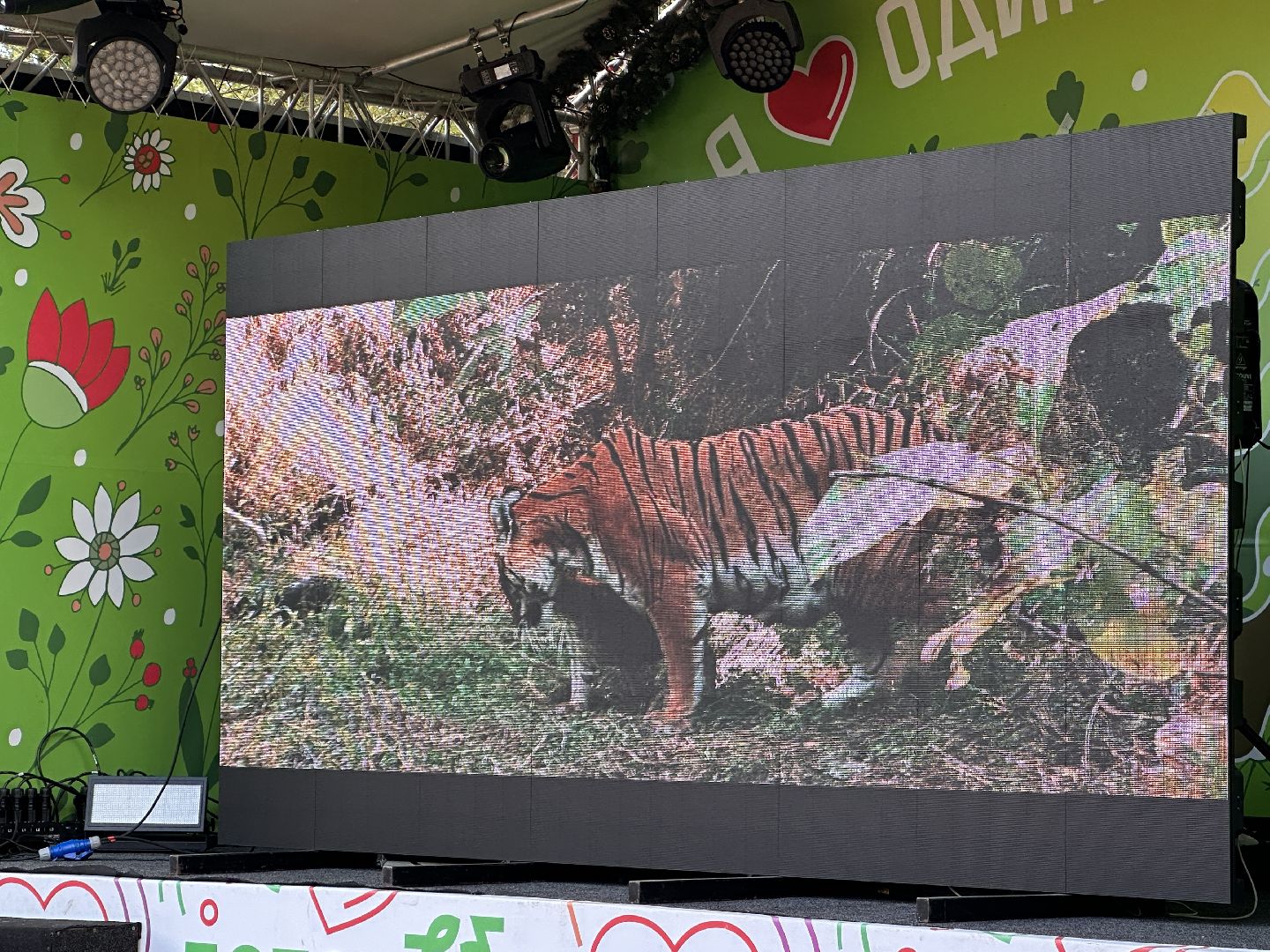Одинцово, Парки Подмосковья, Кинотеатр под открытым небом, Мой тигр