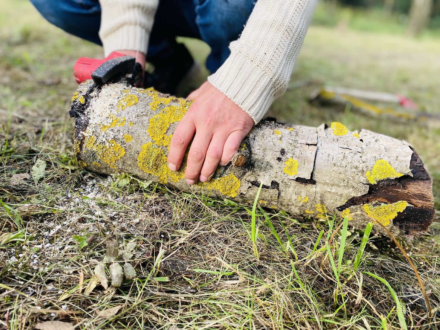 Домодедово, мотопикник, поход, домодедовские байкеры, мотоциклисты Домодедова