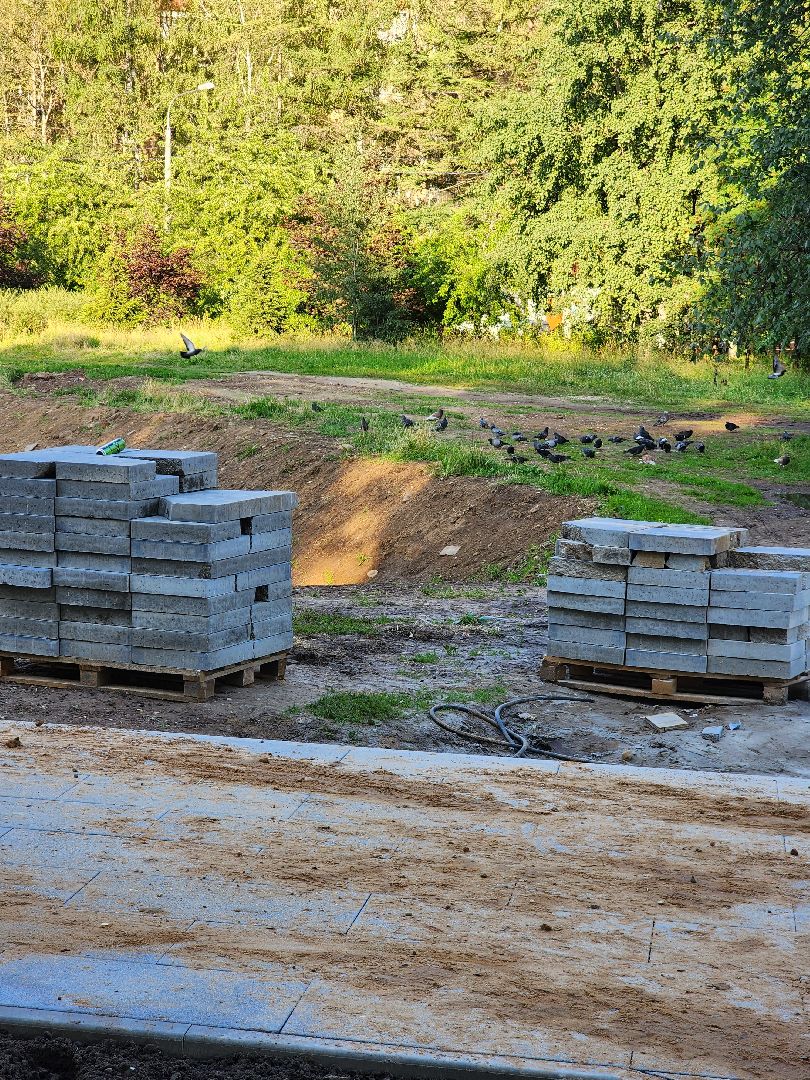 Долгопрудный, парки, реконструкция, Центральный парк, ЖКХ, благоустройство, плитка
