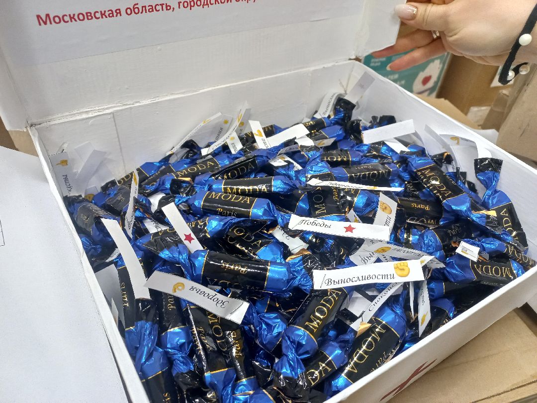 Солнечногорск, СВО