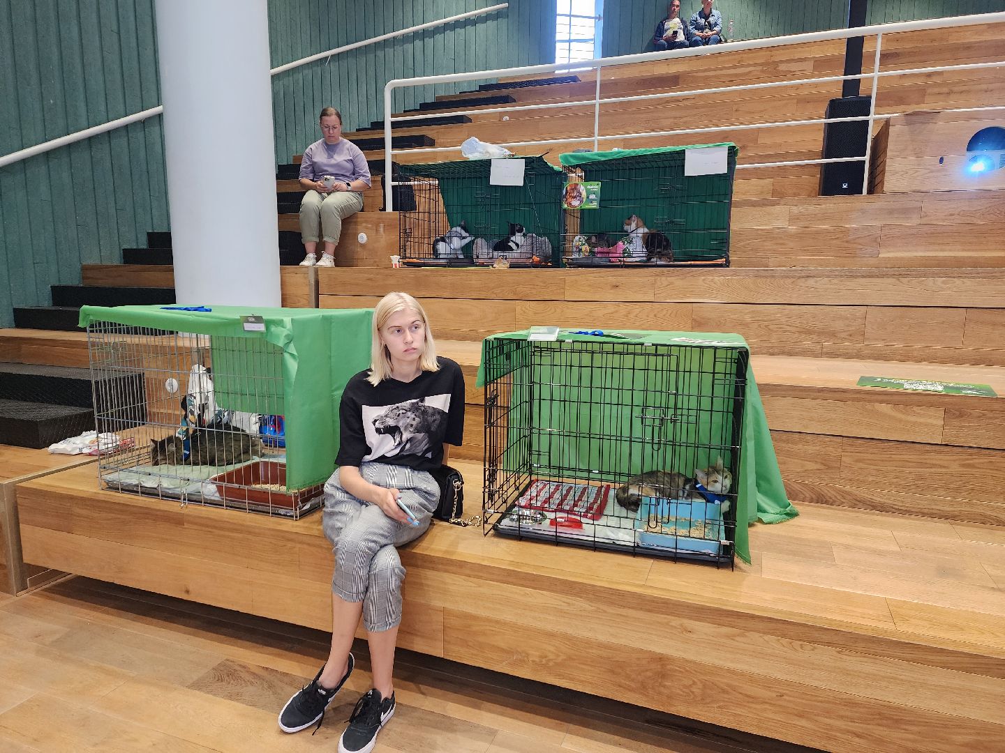 волонтеры, доброе дело,