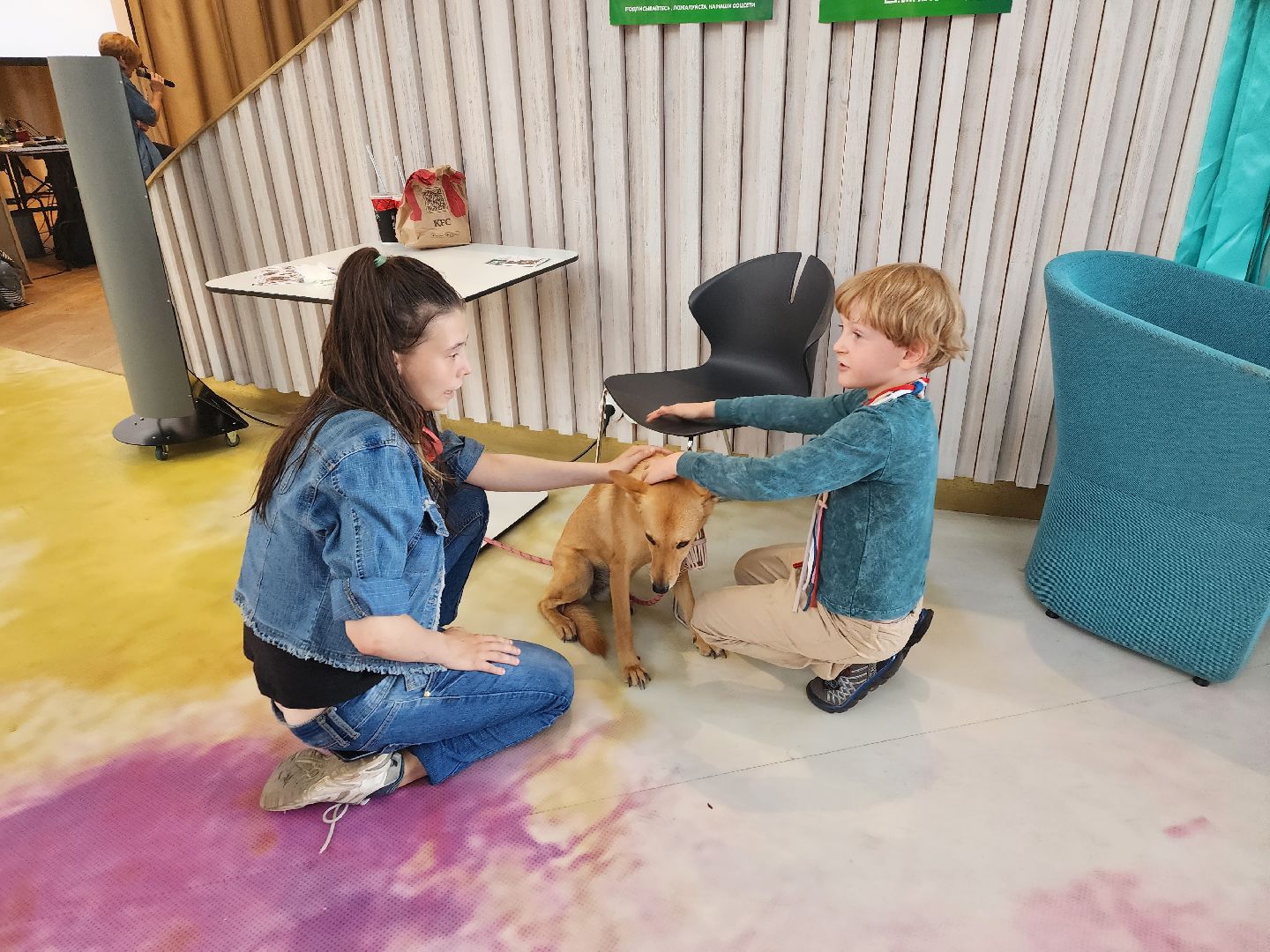 волонтеры, доброе дело,