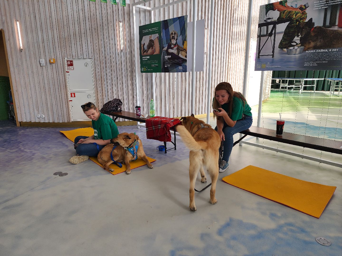 волонтеры, доброе дело,