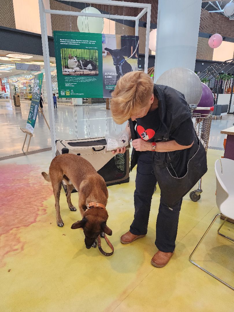 волонтеры, доброе дело,