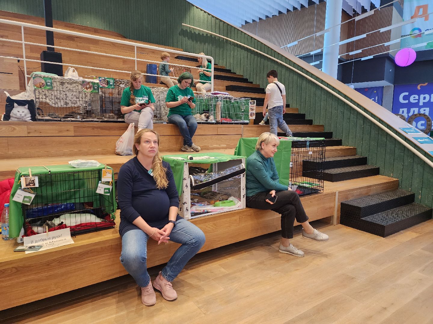 волонтеры, доброе дело,