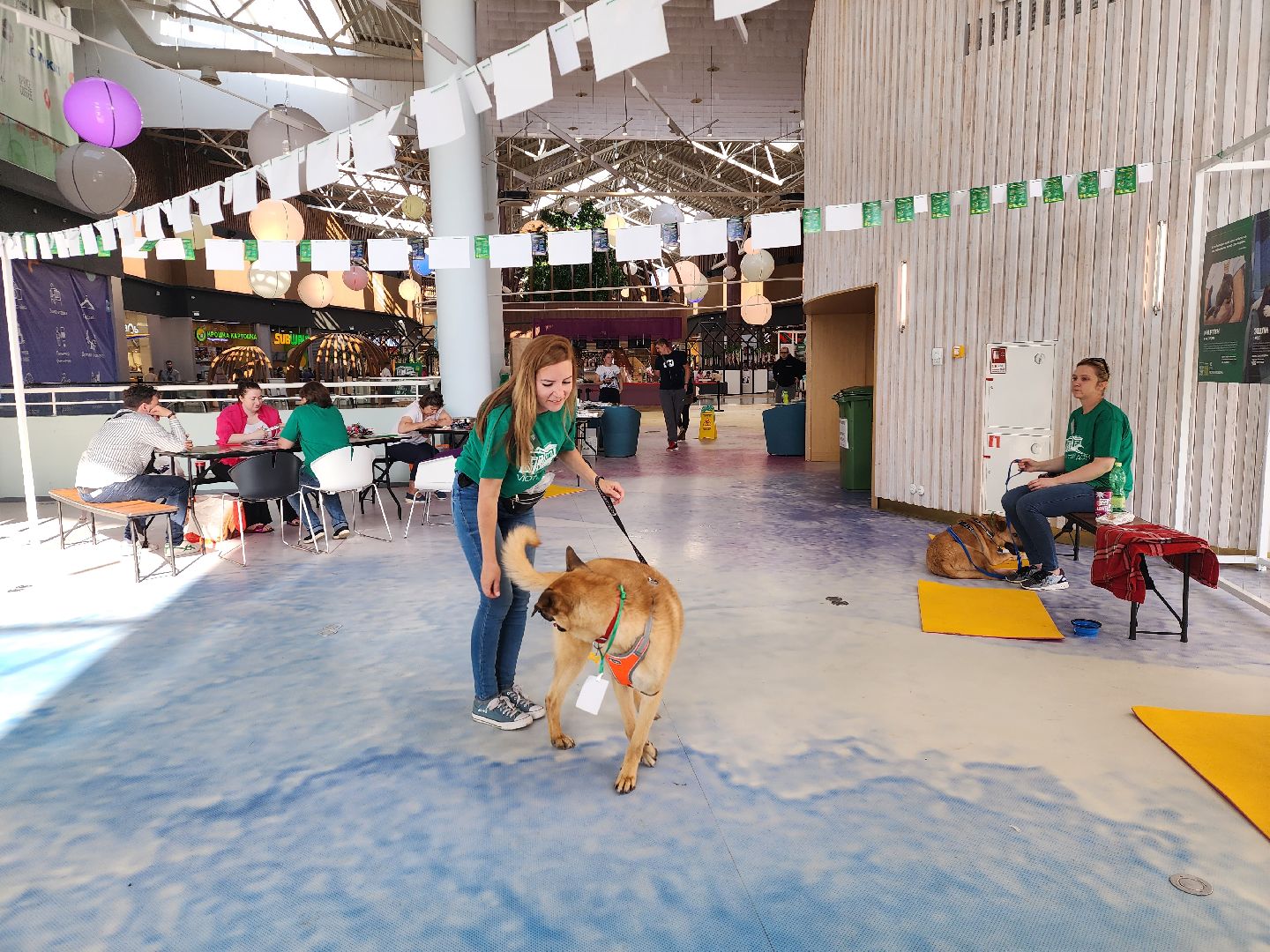 волонтеры, доброе дело,