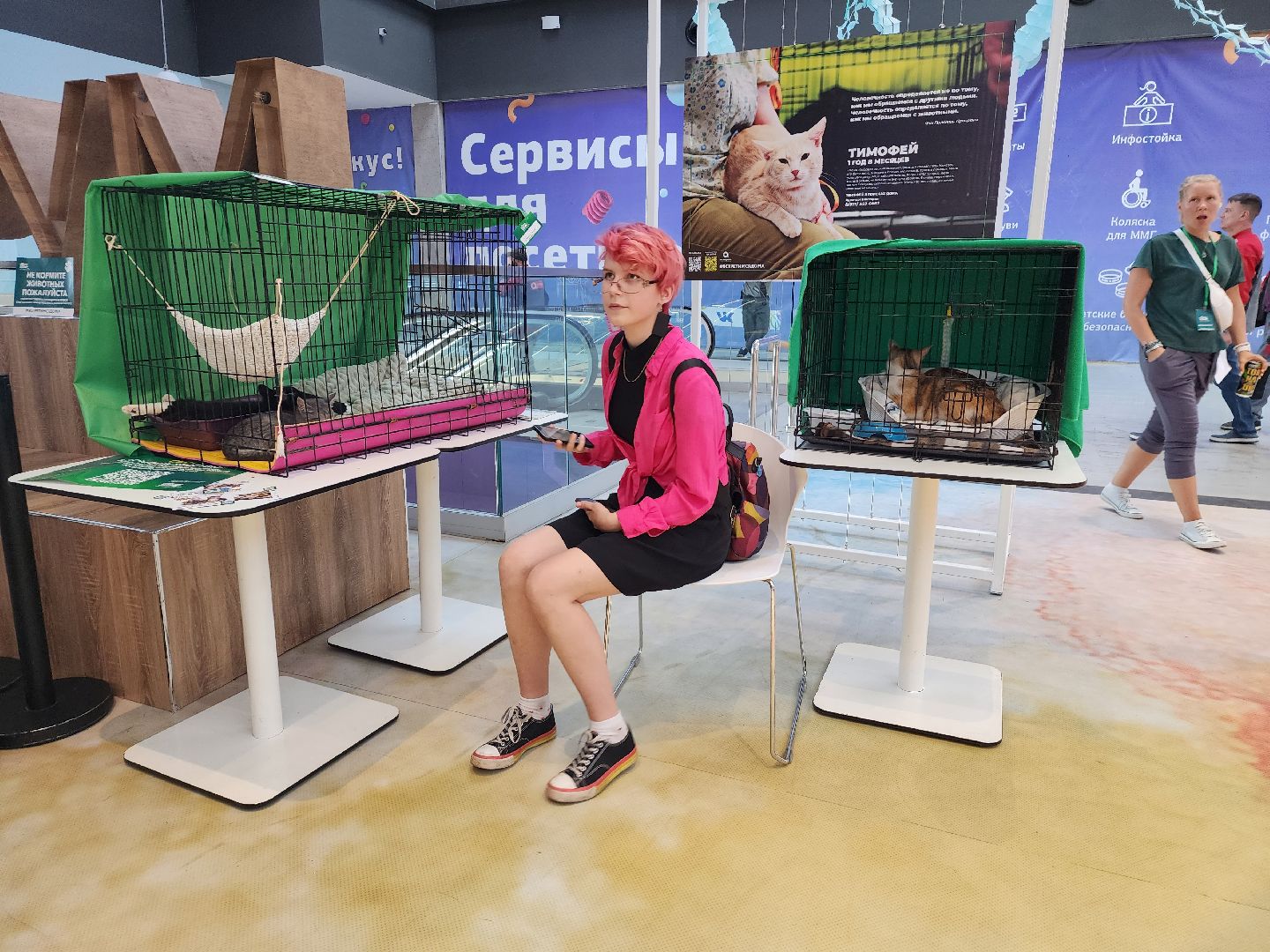 волонтеры, доброе дело,