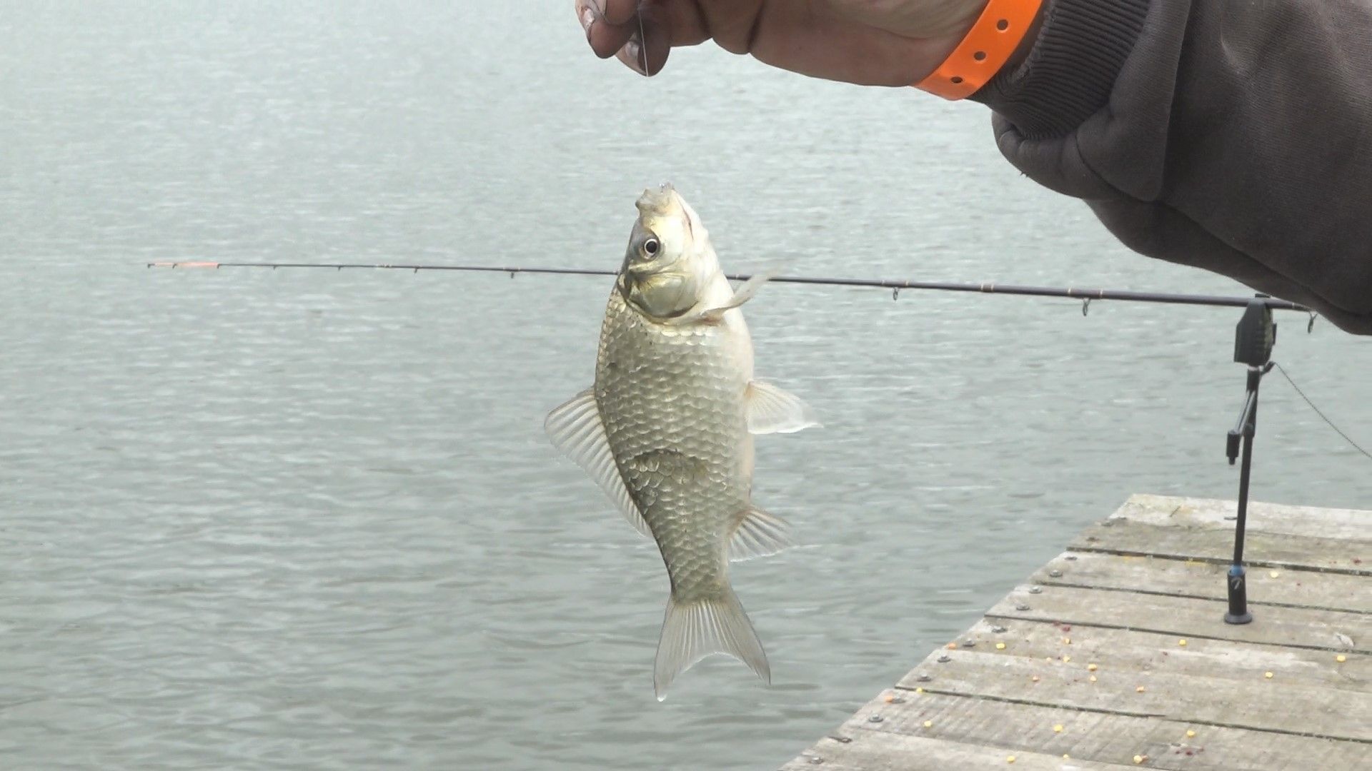Соревнования, рыбалка, Домодедово