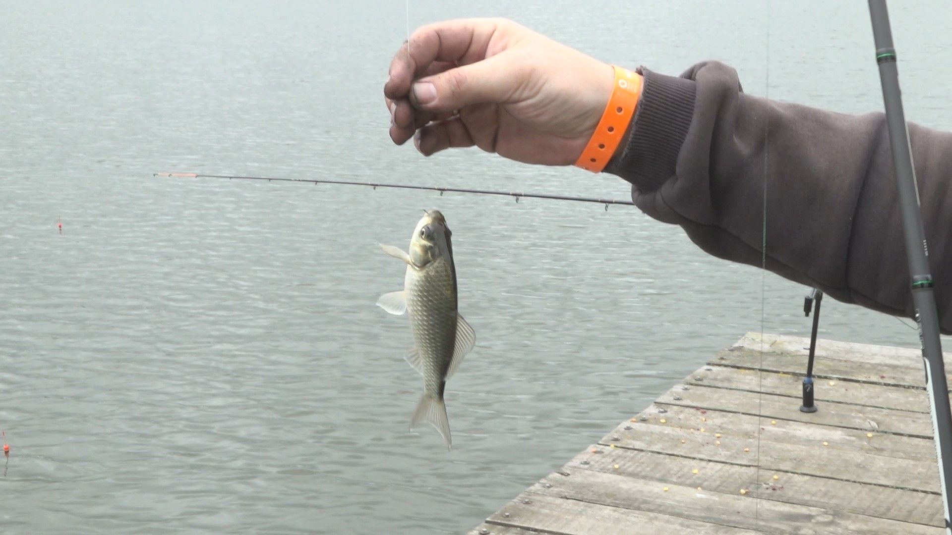 Соревнования, рыбалка, Домодедово