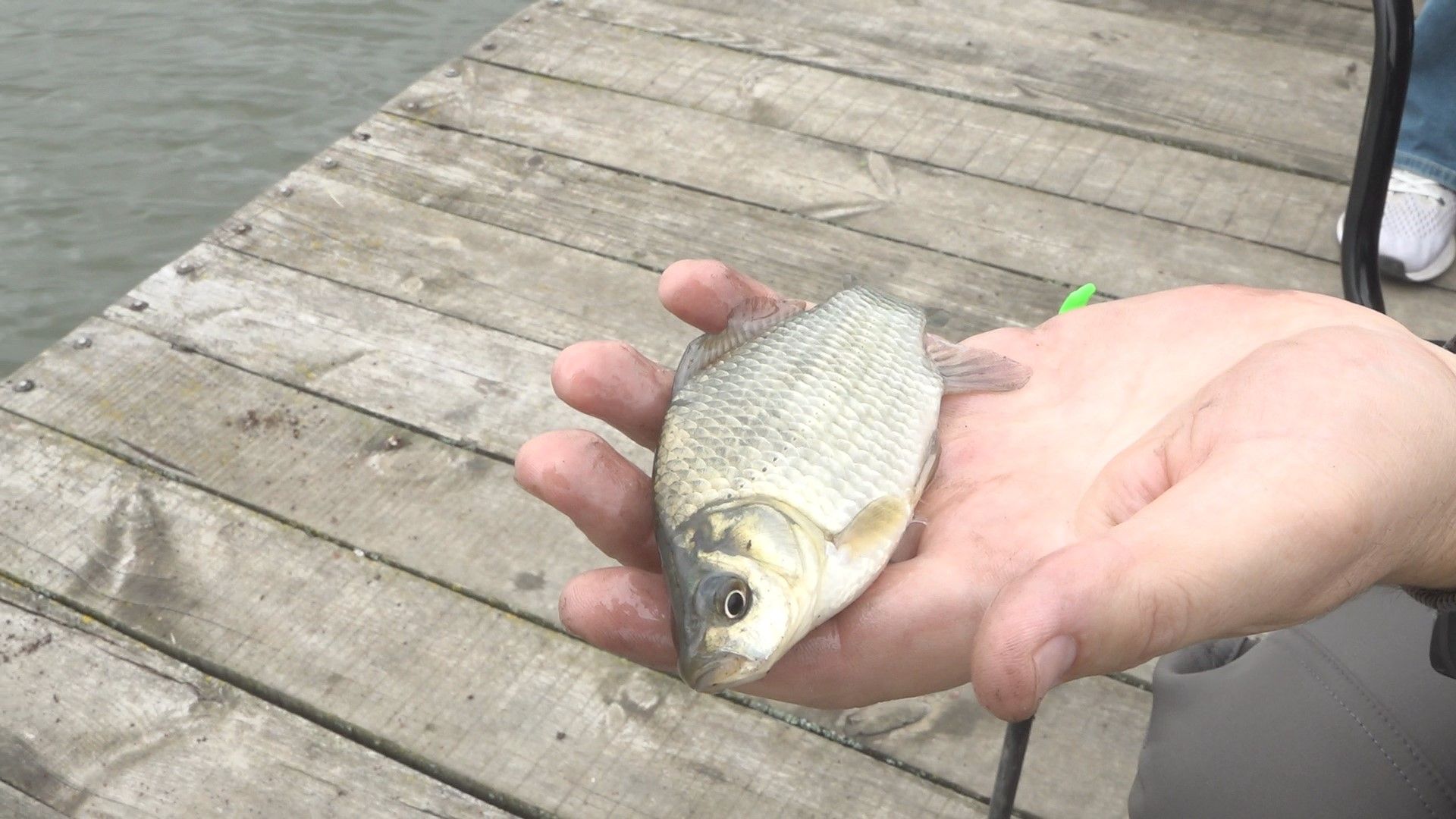 Соревнования, рыбалка, Домодедово