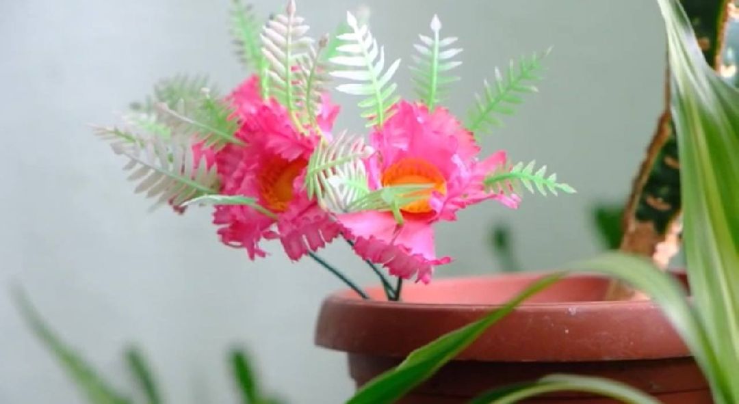 Солнечногорск, СВО