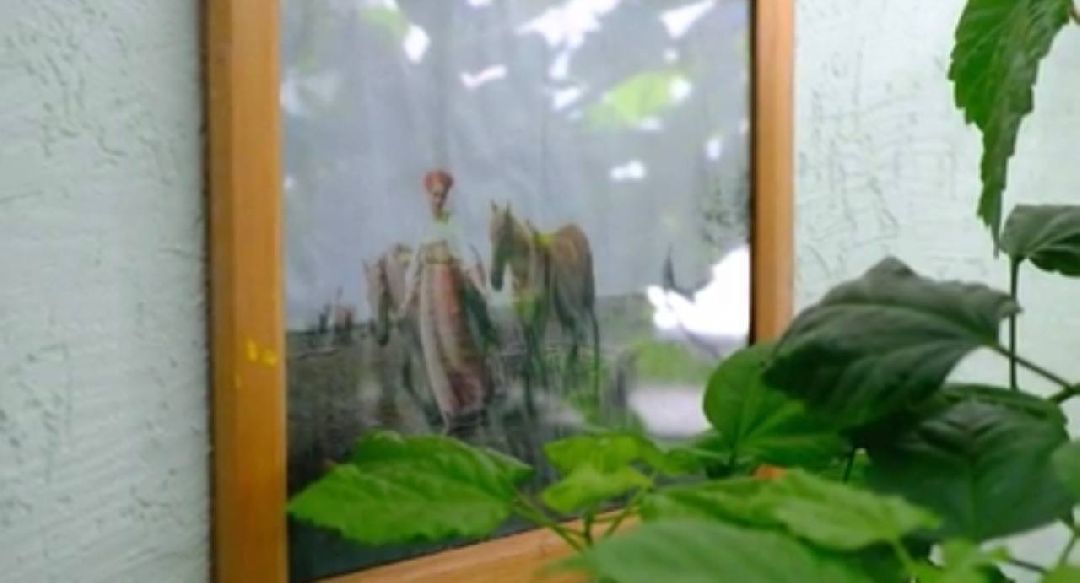 Солнечногорск, СВО