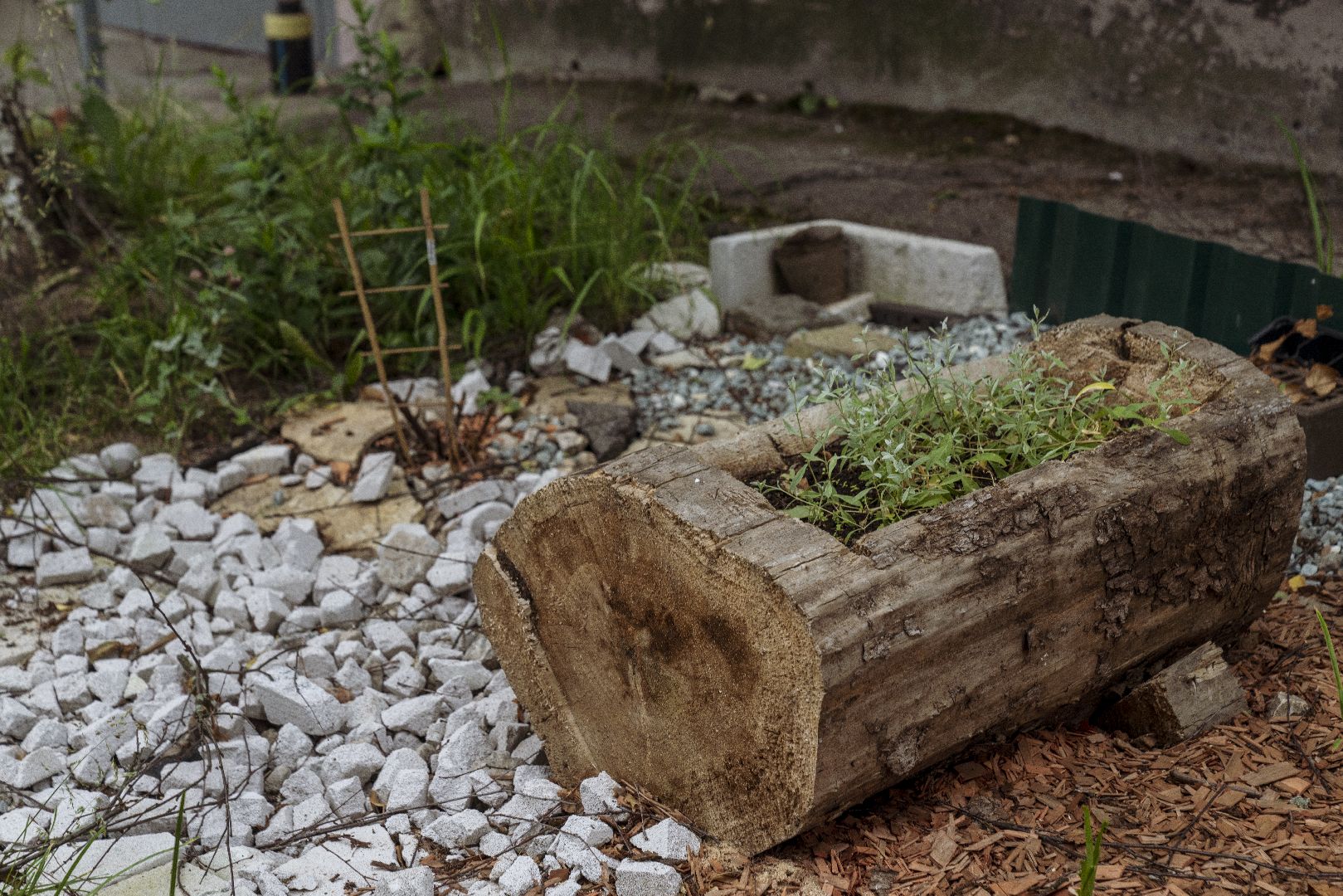 Проверка территорий, Домодедово