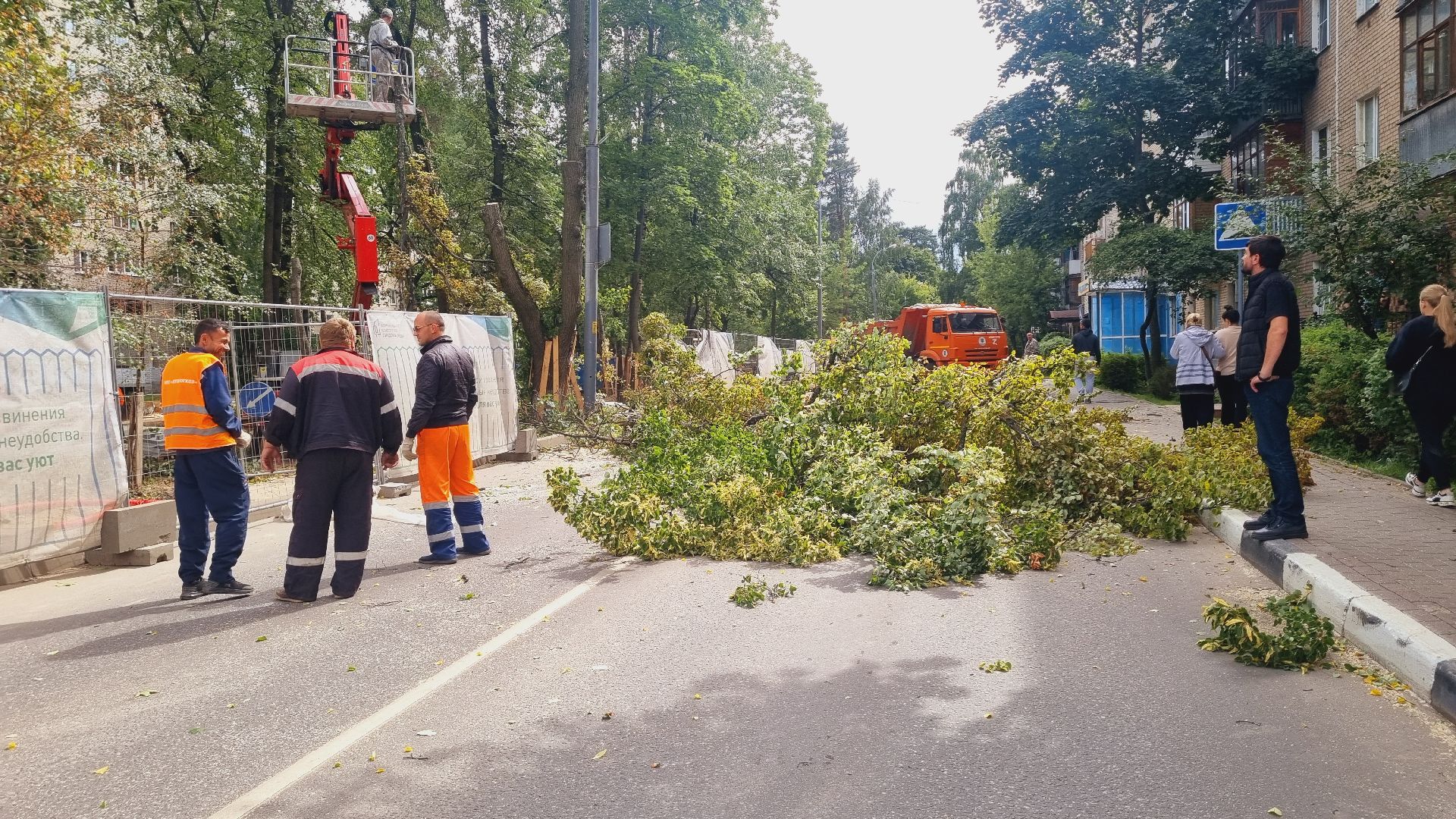 Подмосковье, Городской округ Пушкинский, благоустройство