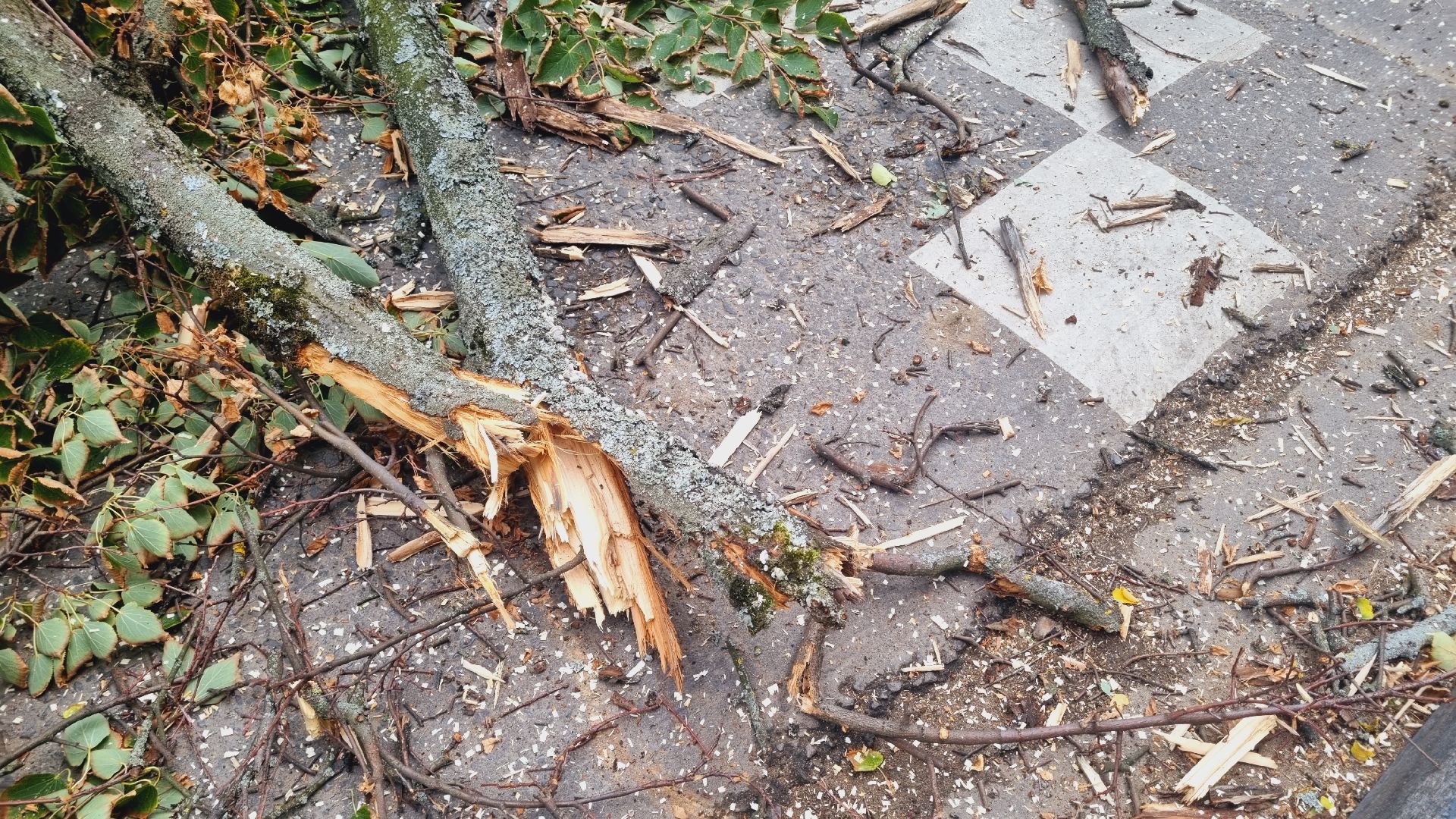 Подмосковье, Городской округ Пушкинский, благоустройство