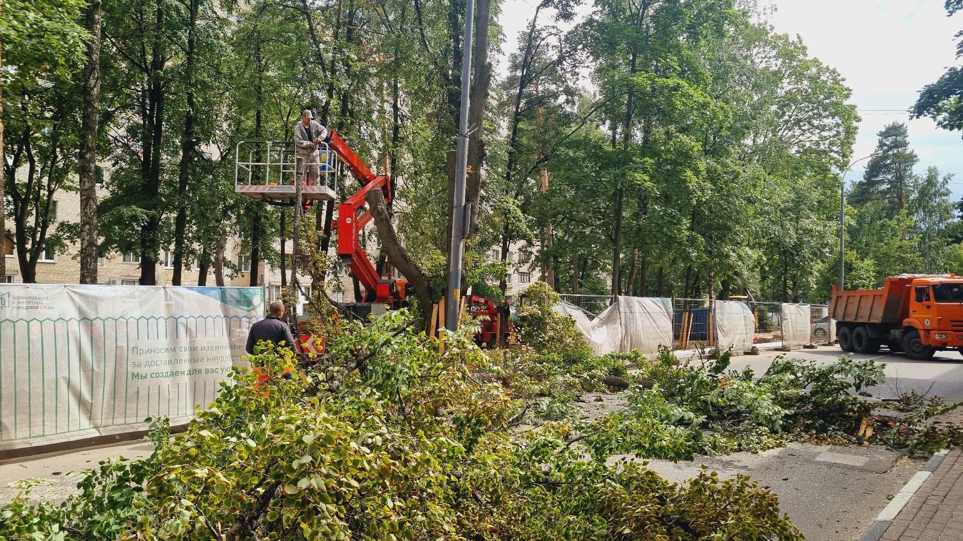 Подмосковье, Городской округ Пушкинский, благоустройство