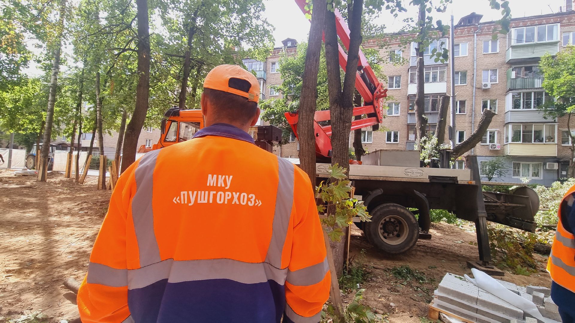 Подмосковье, Городской округ Пушкинский, благоустройство