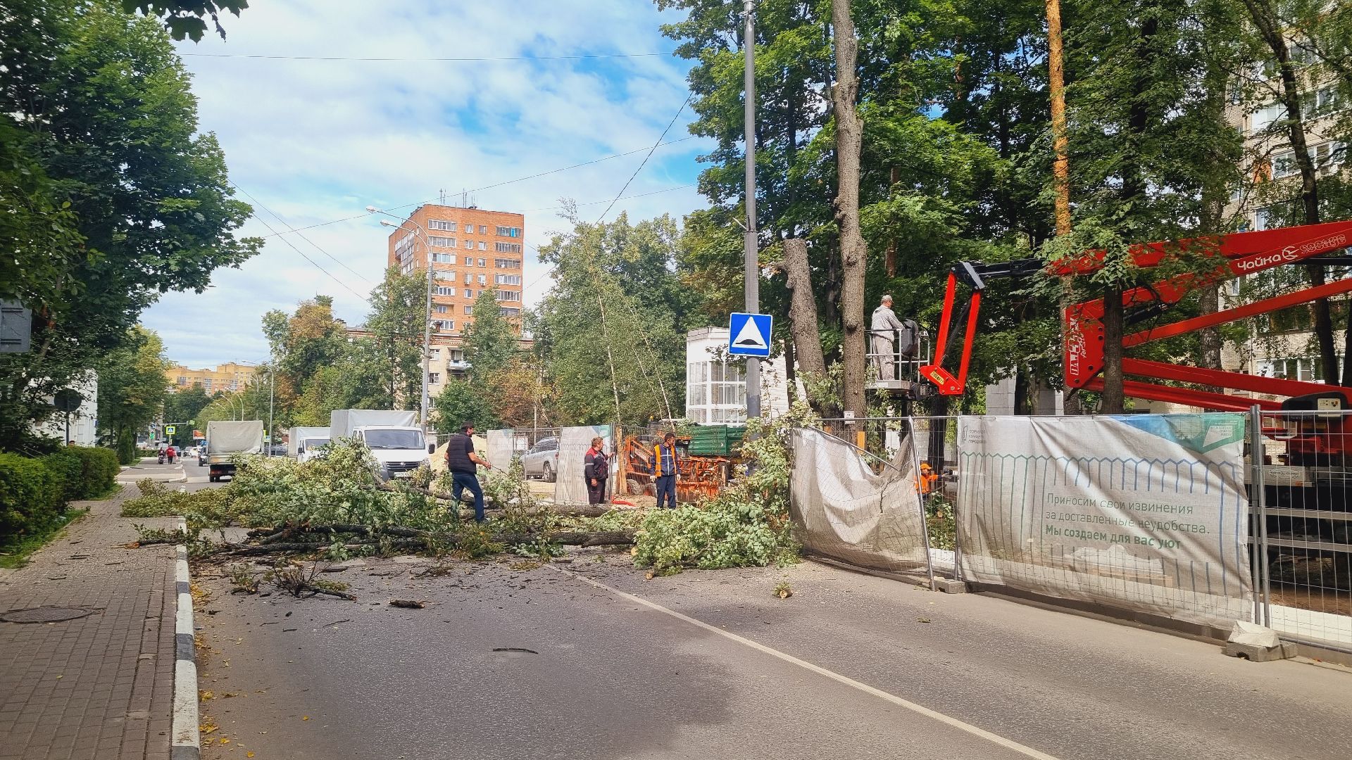 Подмосковье, Городской округ Пушкинский, благоустройство